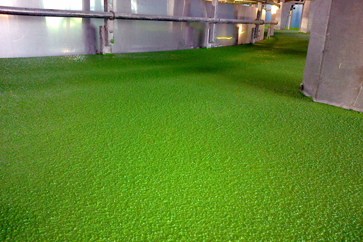 FLOORTECH 24 - 9